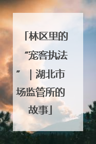 林区里的“宠客执法”｜湖北市场监管所的故事