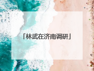林武在济南调研