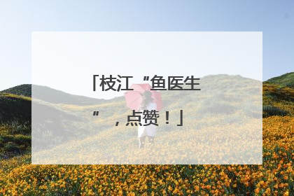 枝江“鱼医生”，点赞！