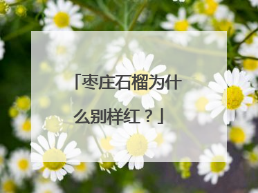 枣庄石榴为什么别样红？