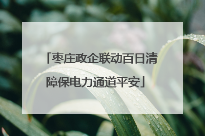 枣庄政企联动百日清障保电力通道平安