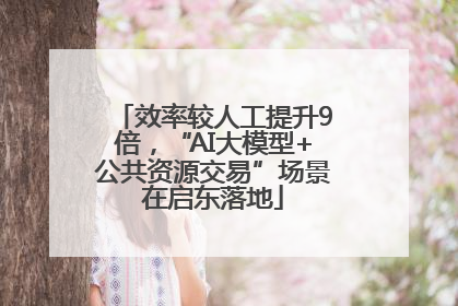 效率较人工提升9倍，“AI大模型+公共资源交易”场景在启东落地