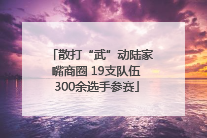 散打“武”动陆家嘴商圈 19支队伍300余选手参赛