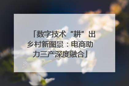 数字技术“耕”出乡村新图景：电商助力三产深度融合