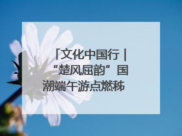 文化中国行｜“楚风屈韵”国潮端午游点燃秭归夜经济