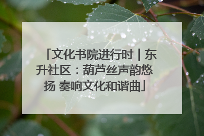 文化书院进行时｜东升社区：葫芦丝声韵悠扬 奏响文化和谐曲