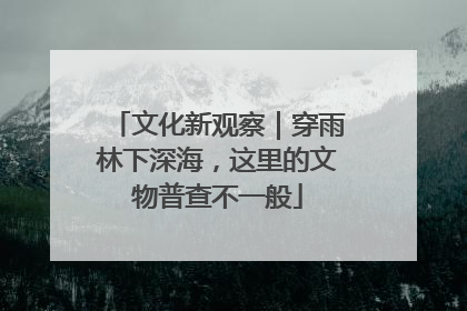 文化新观察｜穿雨林下深海，这里的文物普查不一般