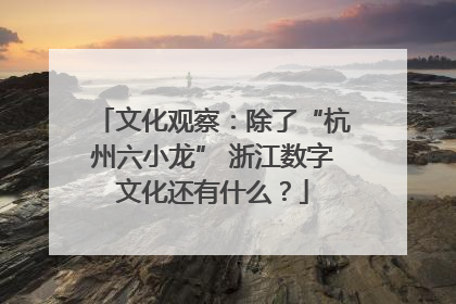 文化观察：除了“杭州六小龙” 浙江数字文化还有什么？