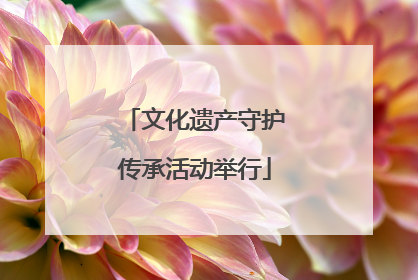 文化遗产守护传承活动举行
