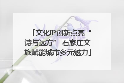 文化IP创新点亮“诗与远方” 石家庄文旅赋能城市多元魅力