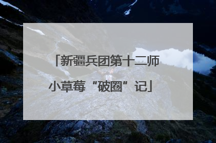 新疆兵团第十二师小草莓“破圈”记