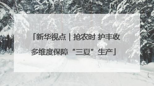 新华视点｜抢农时 护丰收 多维度保障“三夏”生产