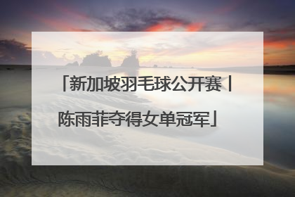 新加坡羽毛球公开赛丨陈雨菲夺得女单冠军