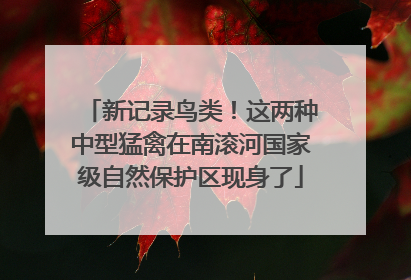 新记录鸟类！这两种中型猛禽在南滚河国家级自然保护区现身了