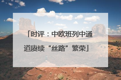 时评：中欧班列中通道赓续“丝路”繁荣