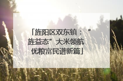 旌阳区双东镇：“旌益态”大米领航 优粮富民谱新篇