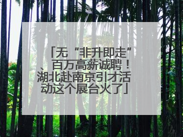 无“非升即走”、百万高薪诚聘！湖北赴南京引才活动这个展台火了