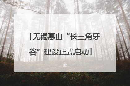 无锡惠山“长三角牙谷”建设正式启动