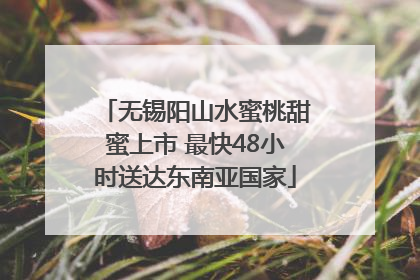 无锡阳山水蜜桃甜蜜上市 最快48小时送达东南亚国家