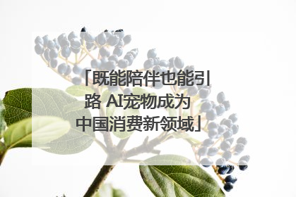 既能陪伴也能引路 AI宠物成为中国消费新领域