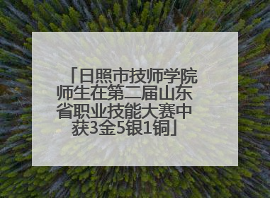 日照市技师学院师生在第二届山东省职业技能大赛中获3金5银1铜