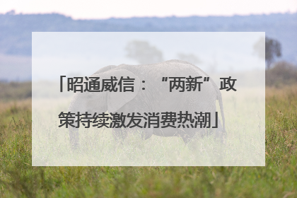 昭通威信：“两新”政策持续激发消费热潮