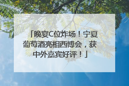 晚宴C位炸场！宁夏葡萄酒亮相西博会，获中外嘉宾好评！