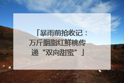暴雨前抢收记：万斤胭脂红鲜桃传递“双向甜蜜”