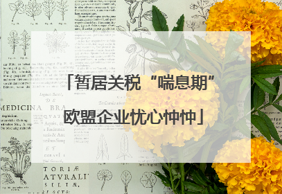 暂居关税“喘息期” 欧盟企业忧心忡忡