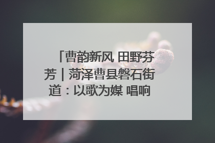 曹韵新风 田野芬芳｜菏泽曹县磐石街道：以歌为媒 唱响乡土“新歌声”
