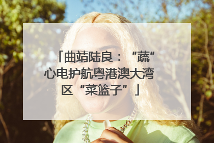 曲靖陆良：“蔬”心电护航粤港澳大湾区“菜篮子”