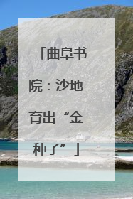 曲阜书院：沙地育出“金种子”