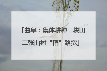 曲阜：集体耕种一块田 二张曲村“稻”路宽