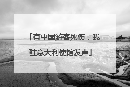 有中国游客死伤，我驻意大利使馆发声