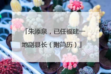 朱添泉，已任福建一地副县长（附简历）