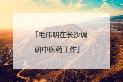 毛伟明在长沙调研中医药工作