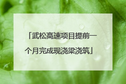 武松高速项目提前一个月完成现浇梁浇筑