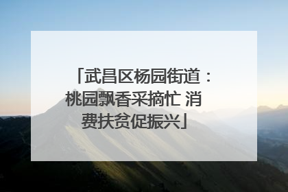 武昌区杨园街道：桃园飘香采摘忙 消费扶贫促振兴