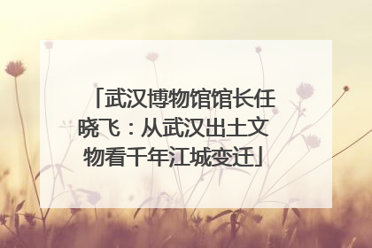 武汉博物馆馆长任晓飞：从武汉出土文物看千年江城变迁