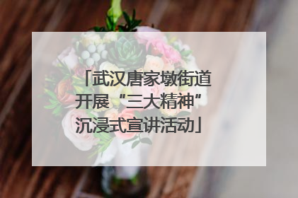武汉唐家墩街道开展“三大精神”沉浸式宣讲活动