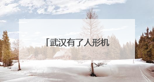 武汉有了人形机器人“学校”，“人形机器人进家庭，这是第一步”