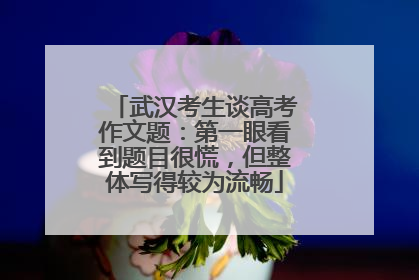 武汉考生谈高考作文题：第一眼看到题目很慌，但整体写得较为流畅