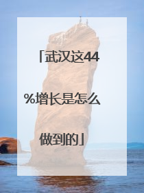 武汉这44%增长是怎么做到的