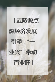 武陵源点燃经济发展引擎 “一业兴”带动百业旺