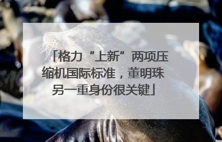 格力“上新”两项压缩机国际标准，董明珠另一重身份很关键