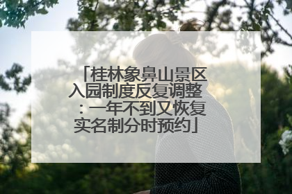桂林象鼻山景区入园制度反复调整：一年不到又恢复实名制分时预约