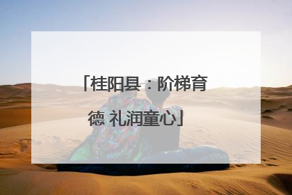 桂阳县：阶梯育德 礼润童心