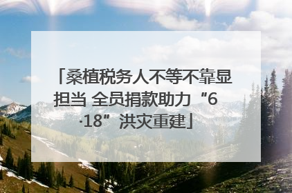 桑植税务人不等不靠显担当 全员捐款助力“6·18”洪灾重建
