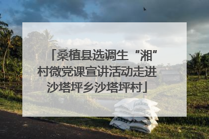 桑植县选调生“湘”村微党课宣讲活动走进沙塔坪乡沙塔坪村