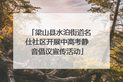 梁山县水泊街道名仕社区开展中高考静音倡议宣传活动